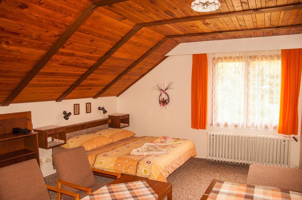Privat - Harrachov 392 Hotel Kamer foto