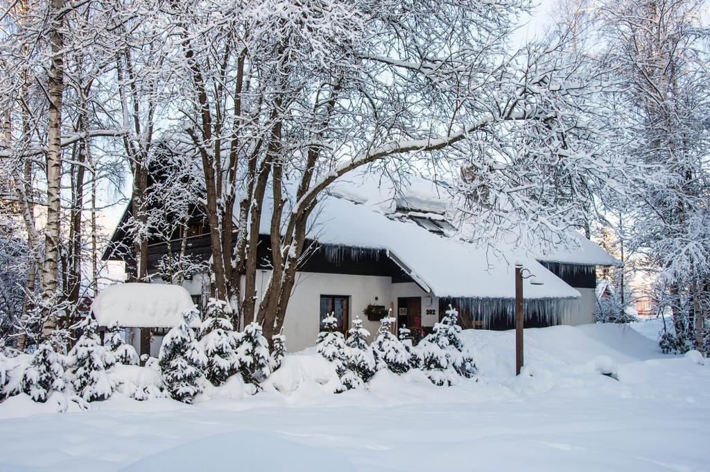 Privat - Harrachov 392 Hotel Buitenkant foto